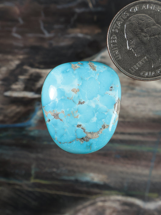 Oval turquoise cabochon with tan web-like pattern and smooth polished face.