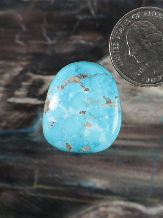 Oval turquoise cabochon with tan web-like veins and glossy dome surface.