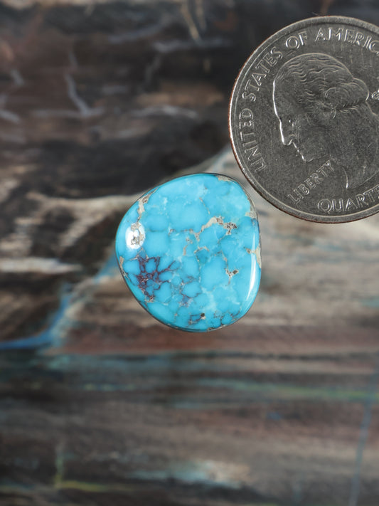 Oval turquoise cabochon gemstone with light tan matrix veining