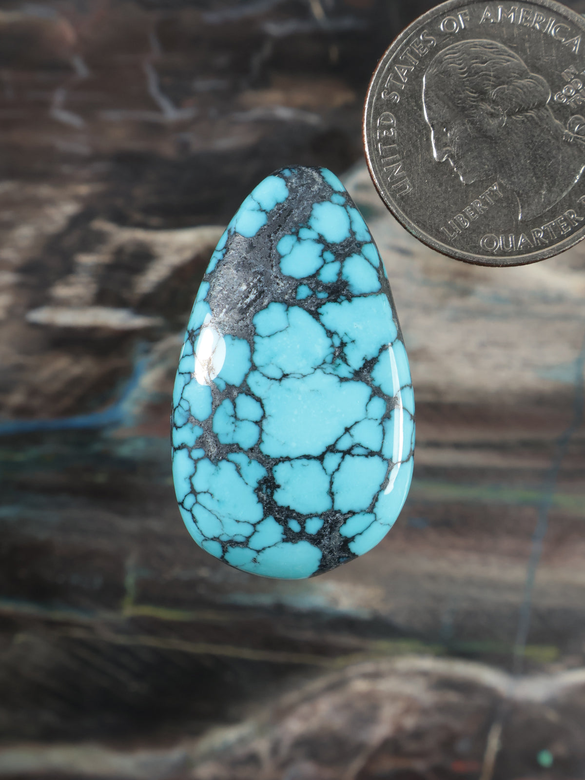 Turquoise spiderweb cabochon teardrop gemstone, black web pattern