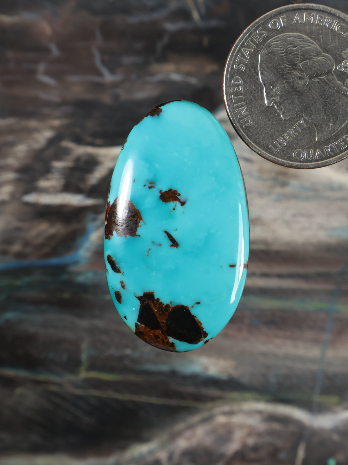 Turquoise cabochon gemstone with dark matrix speckles, oval, domed