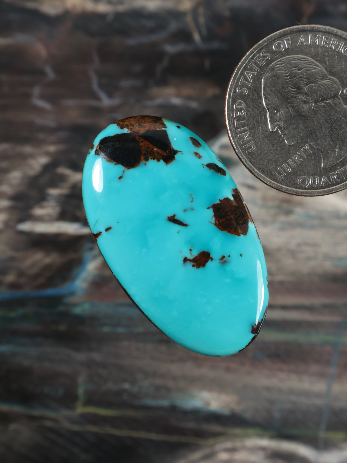 Turquoise cabochon gemstone, oval dome, dark patches and thin veins