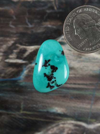 Turquoise cabochon gemstone, teardrop oval with dark dendritic inclusions