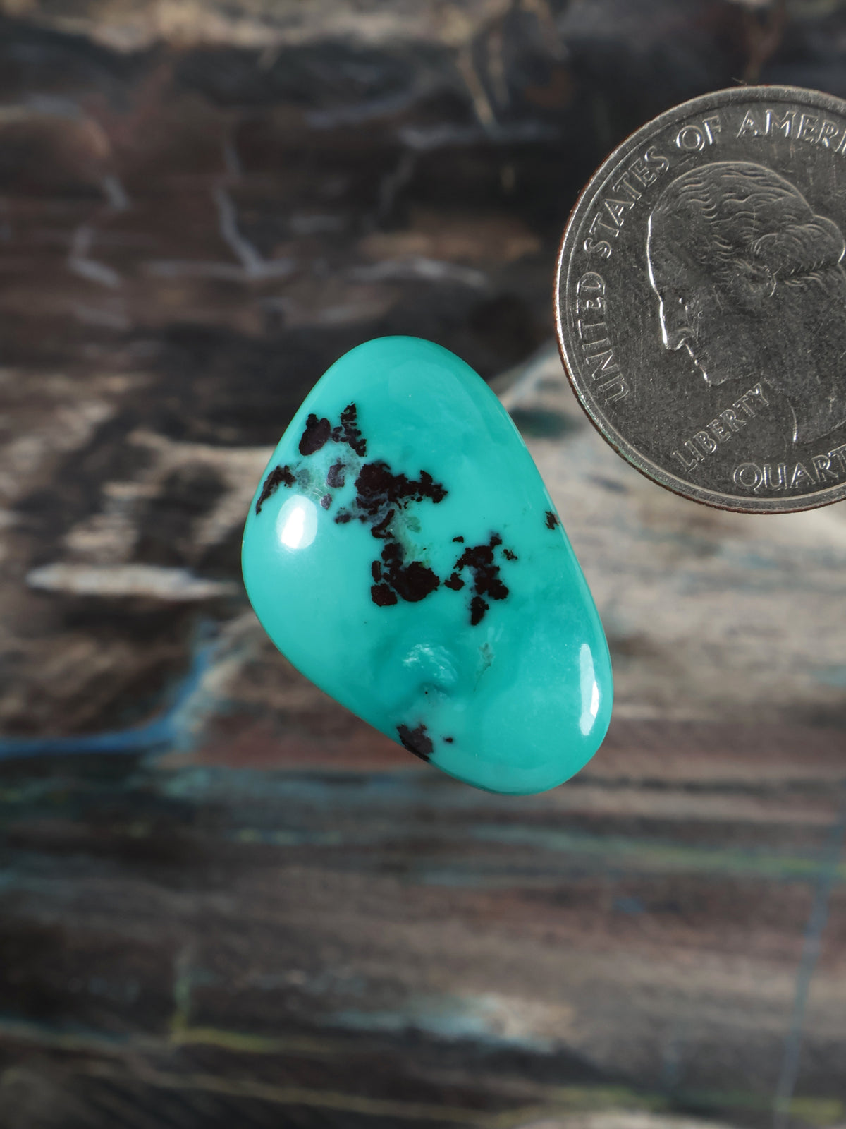 Turquoise cabochon gemstone, glossy oval with dark dendritic inclusions