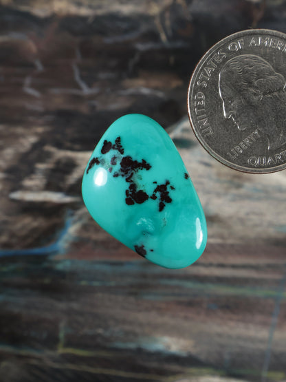 Turquoise cabochon gemstone, glossy oval with dark dendritic inclusions