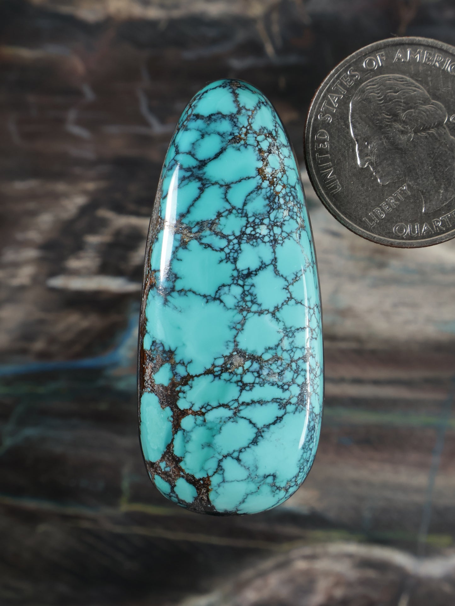 Turquoise spiderweb cabochon gemstone, teardrop oval with web-like dark veins