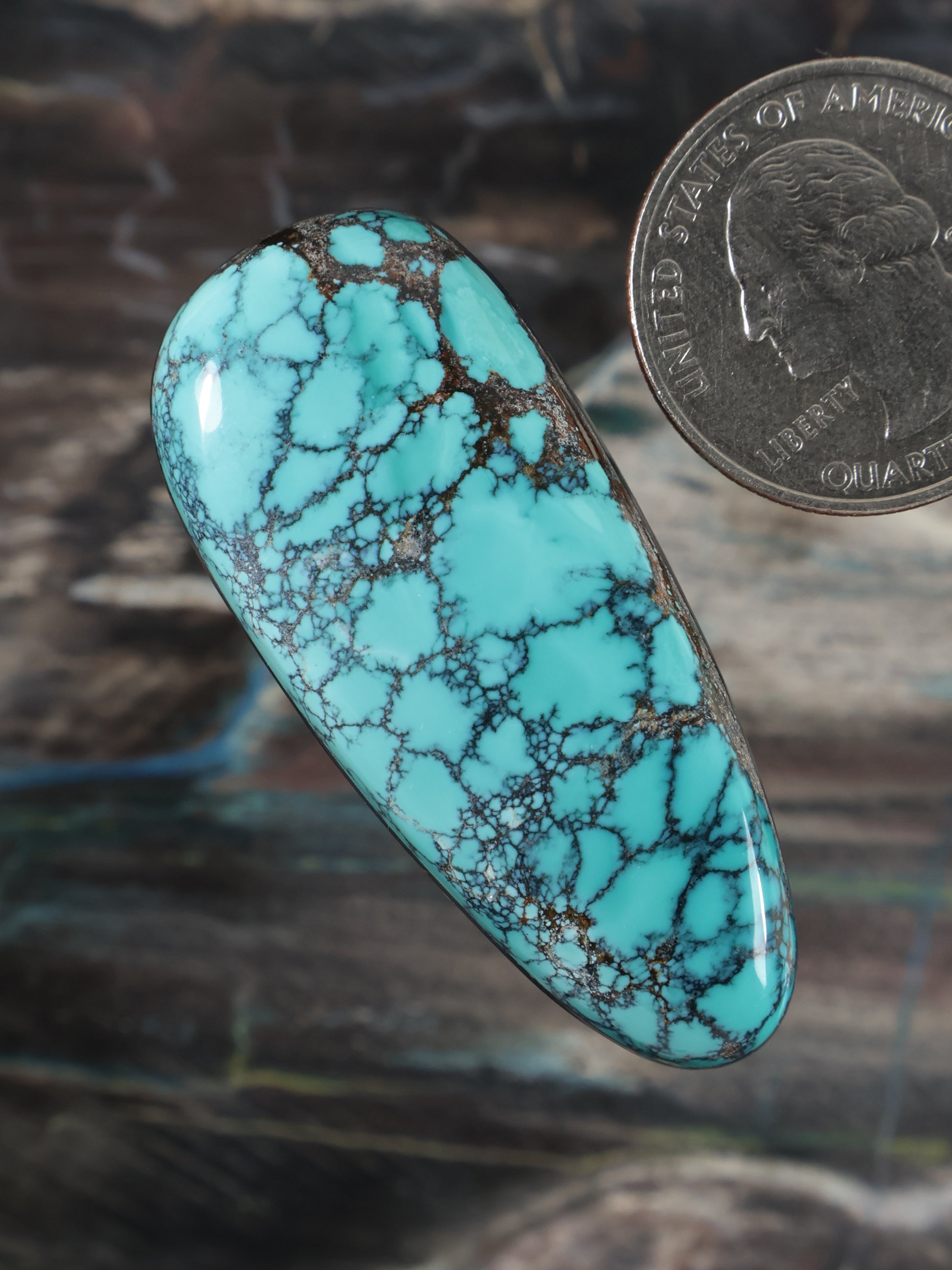 Turquoise spiderweb cabochon gemstone, oval with prominent dark vein network