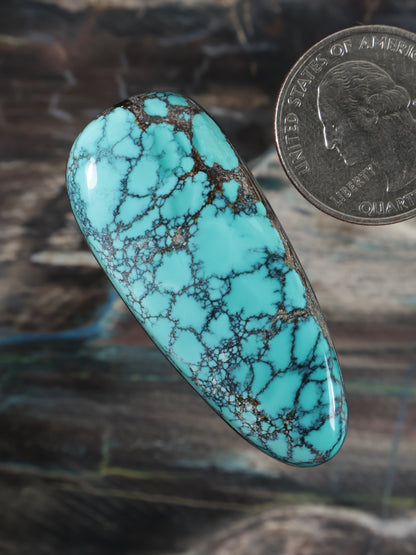 Turquoise spiderweb cabochon gemstone, oval with prominent dark vein network