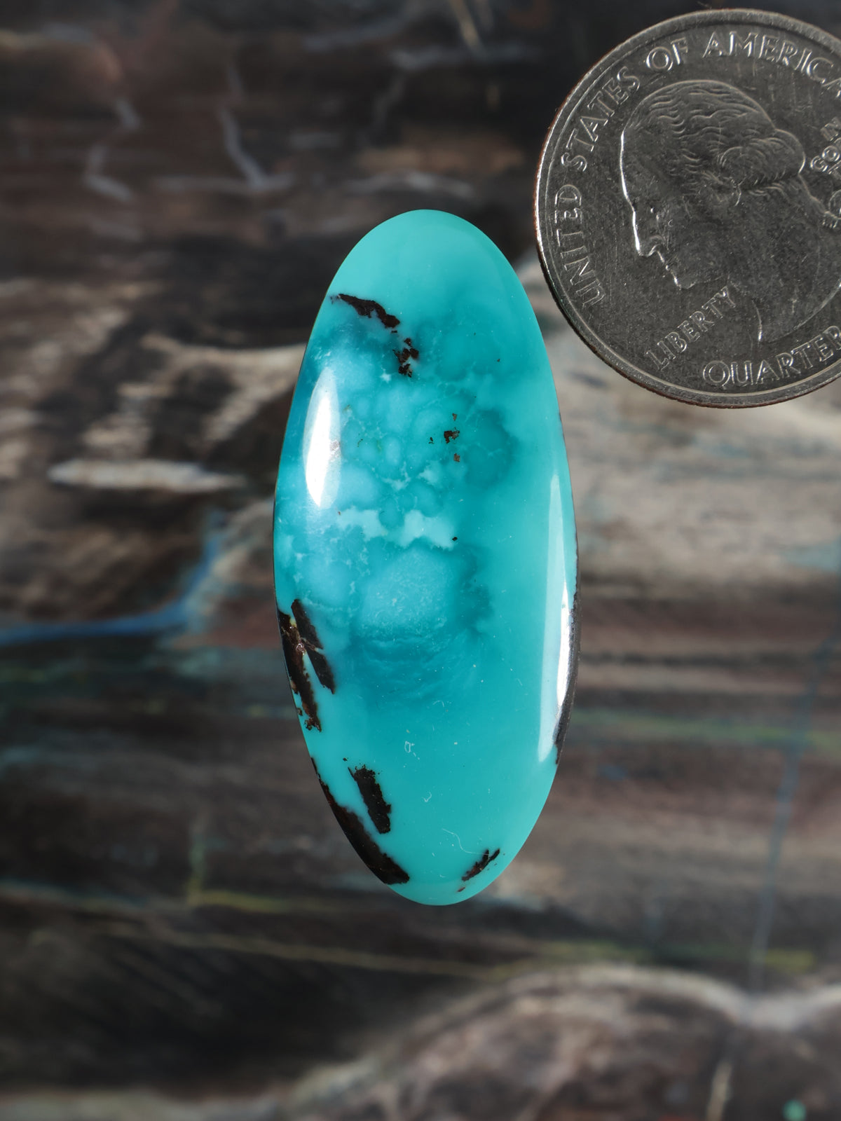 Turquoise oval cabochon with black matrix veining, glossy polished surface