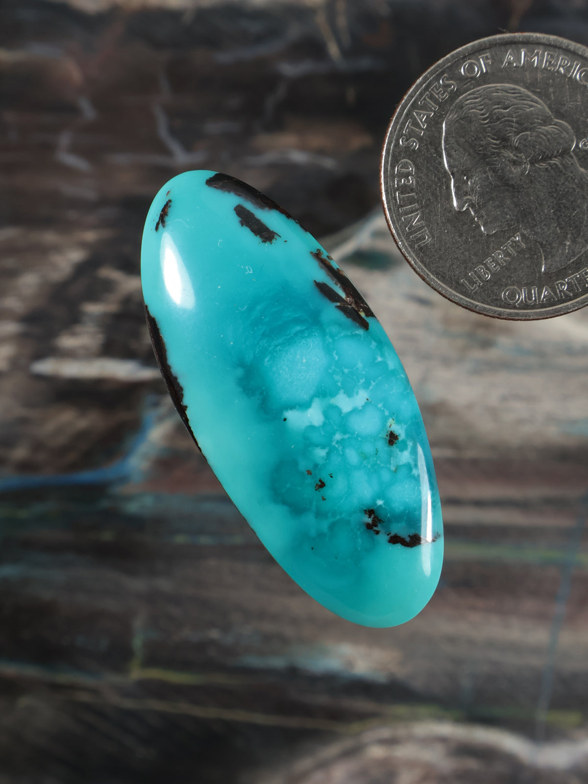 Turquoise oval cabochon with scattered black streaks and cloudy inclusions, glossy