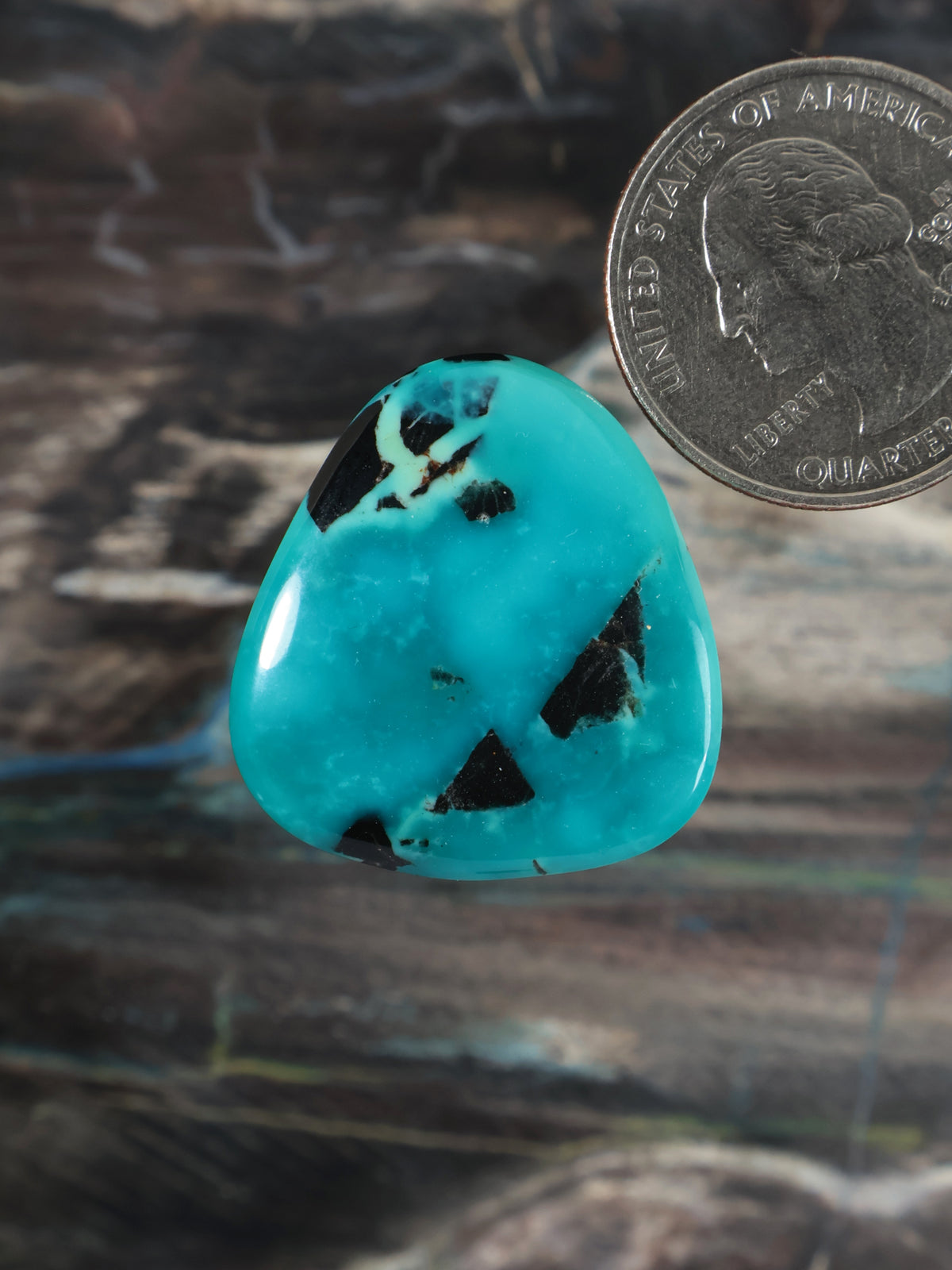 Turquoise cabochon, triangular gemstone with black matrix flecks
