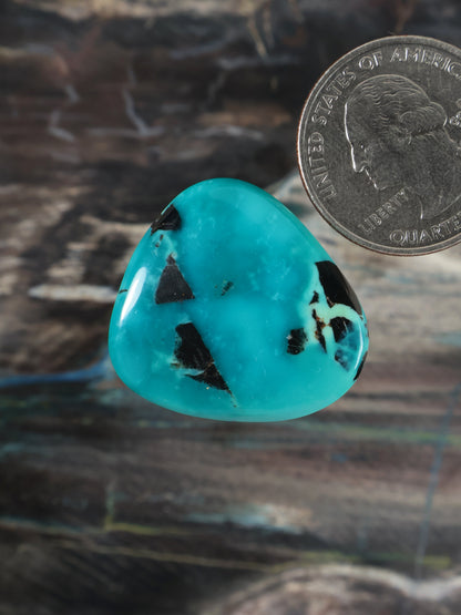 Turquoise cabochon, teardrop shape with black matrix inclusions