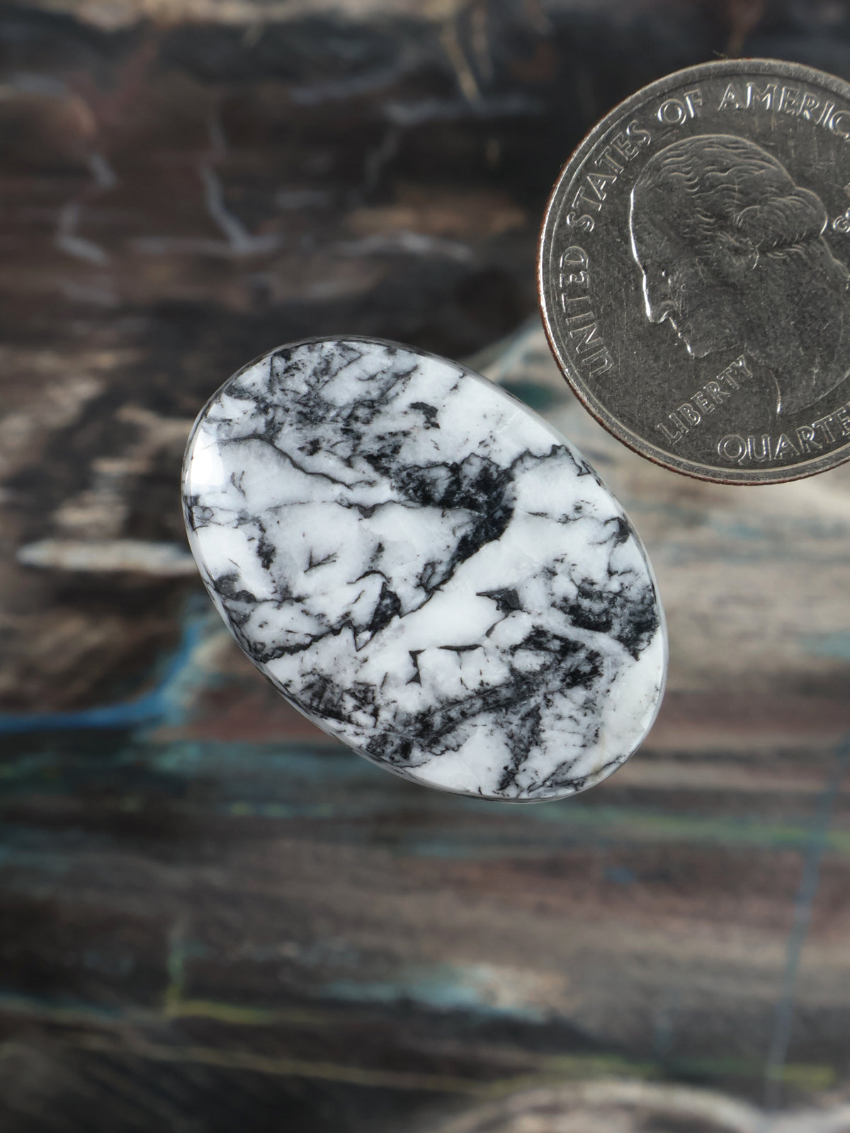 Oval white cabochon with black marbled veining, shown beside a coin