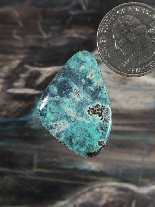 Teardrop turquoise cabochon with blue-green mottling and dark mineral matrix
