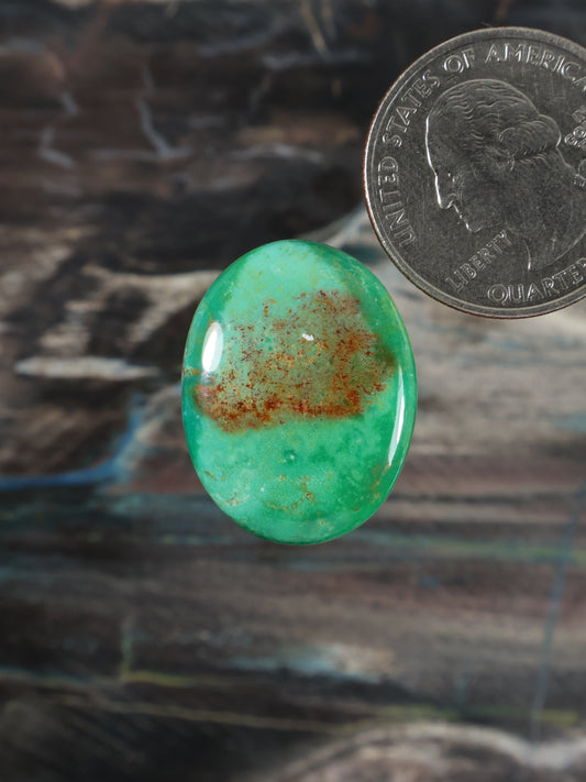 Ma'anshan Turquoise Cabochon Q067
