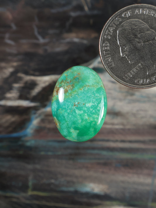 Ma'anshan Turquoise Cabochon Q068