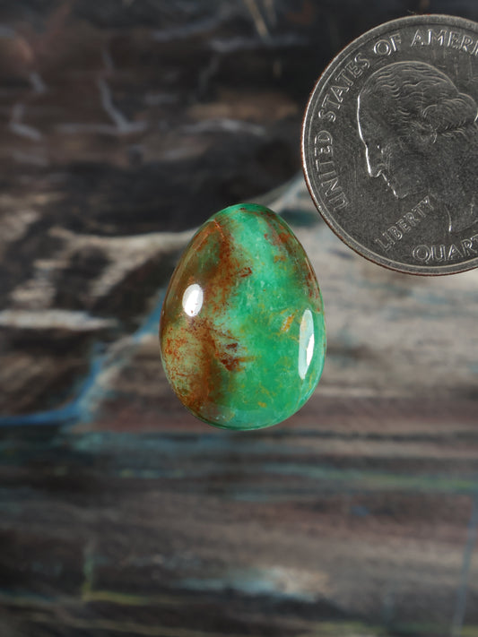 Ma'anshan Turquoise Cabochon Q069