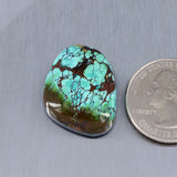 Sky Horse Turquoise Cabochon A255