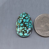 Sky Horse Turquoise Cabochon A254