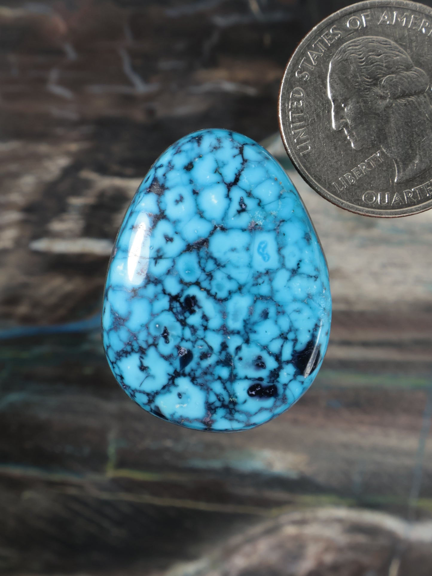 Oval turquoise cabochon with black web pattern, glossy surface, close-up