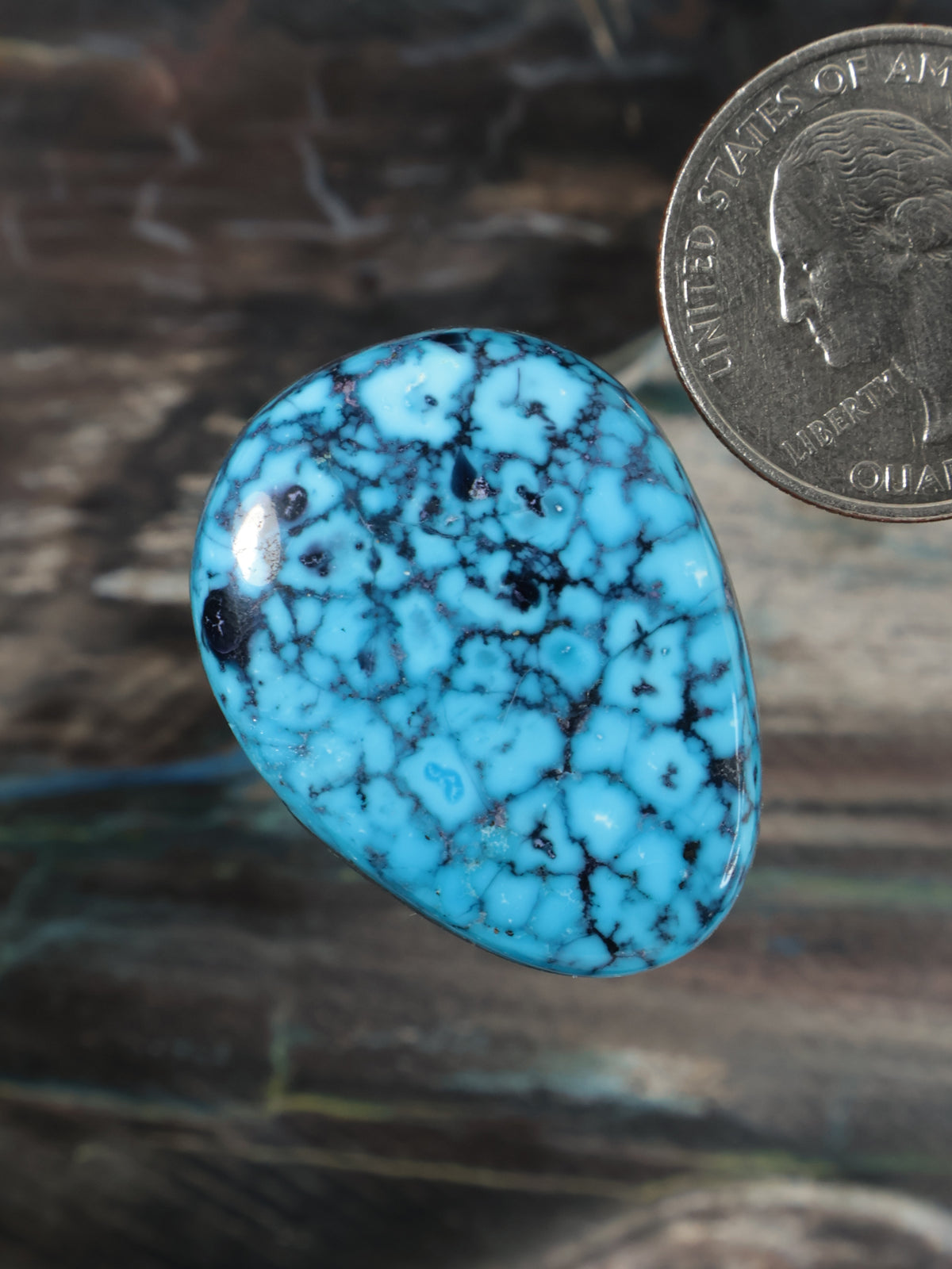 Oval turquoise cabochon with black web pattern, tilted view, glossy finish
