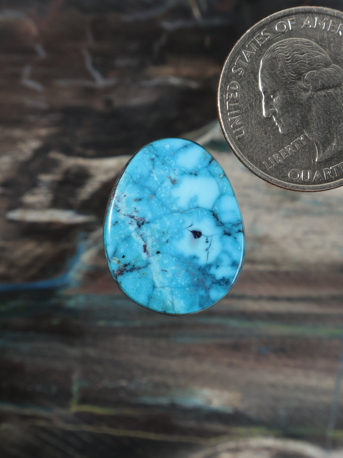 Oval turquoise cabochon gemstone with black web matrix, blue stone