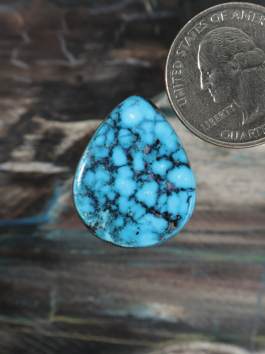 Kingman black web turquoise cabochon, teardrop shape, polished blue stone