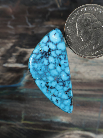 Turquoise web-pattern cabochon, teardrop-shaped with dark black veining