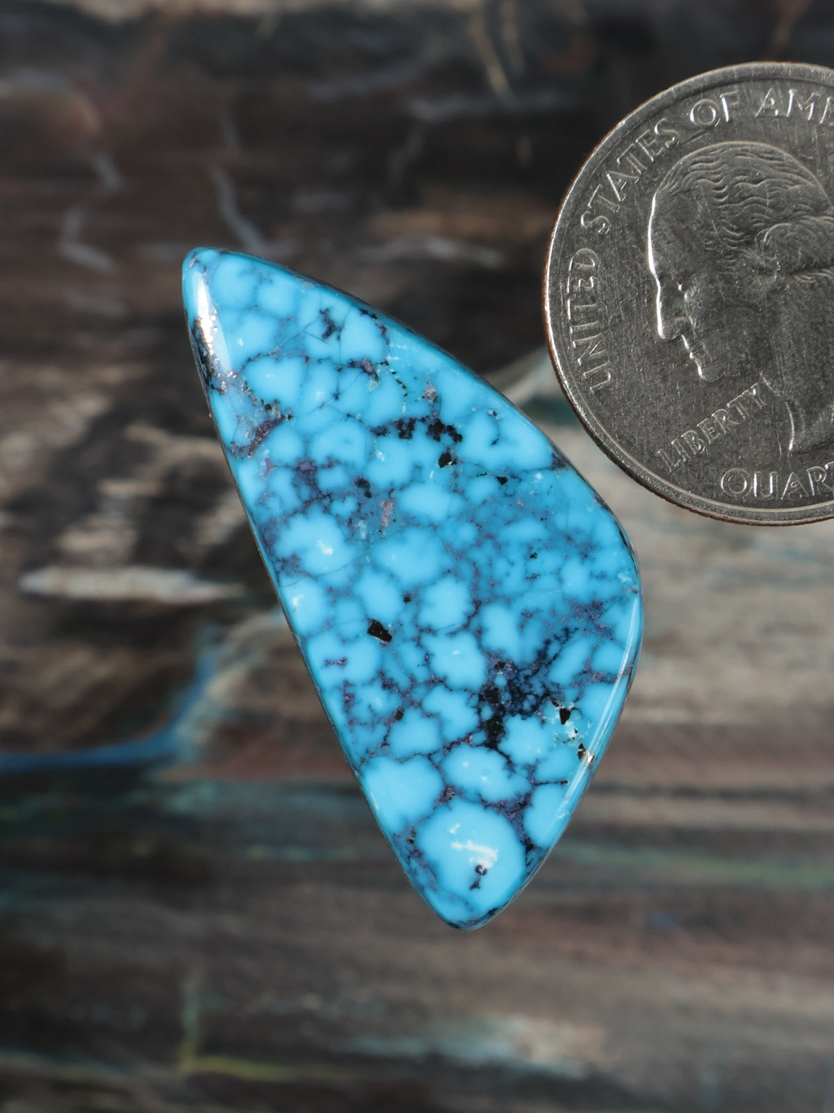Turquoise web-pattern cabochon, elongated teardrop shape with dark black veining