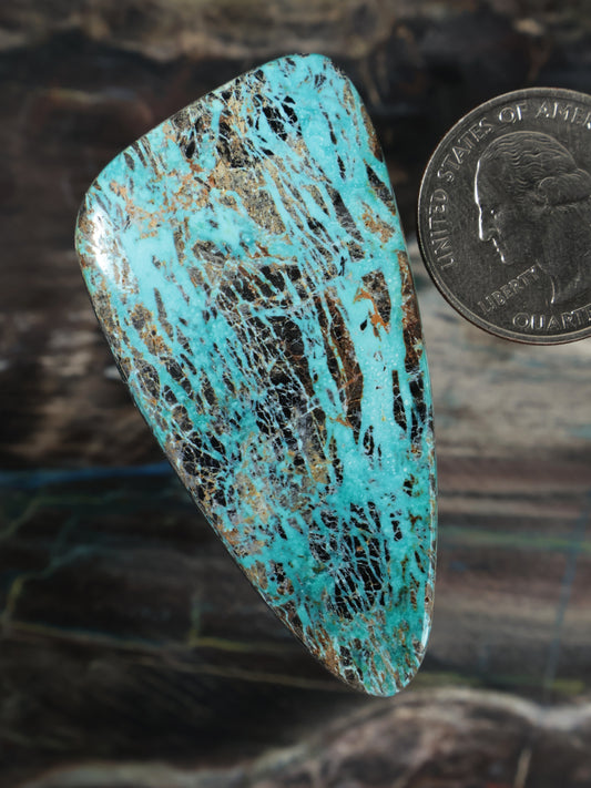Turquoise cabochon gemstone, oval cone shape angled view with speckled blue-green texture