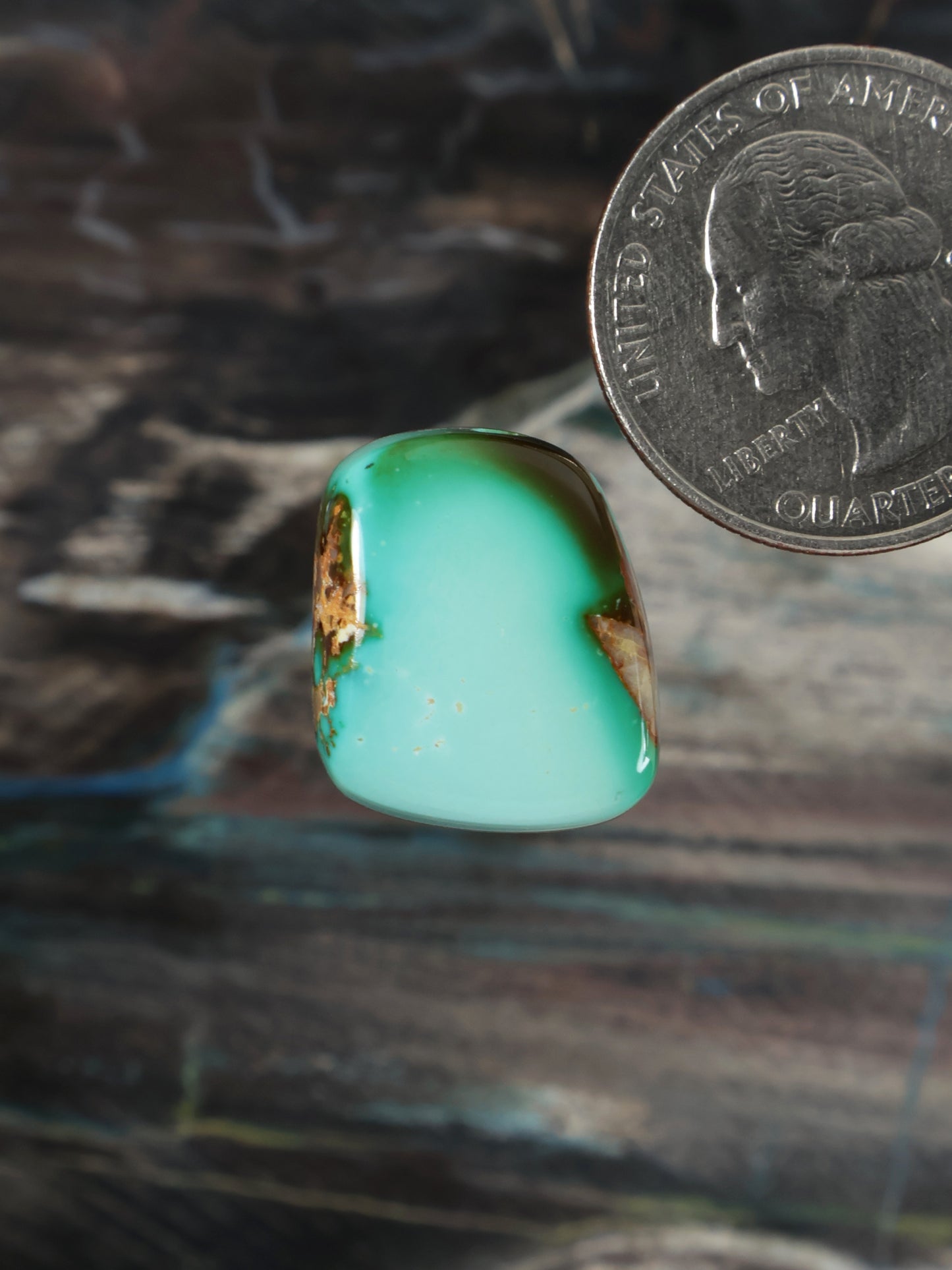 Royston Montezuma Turquoise Cabochon Q073