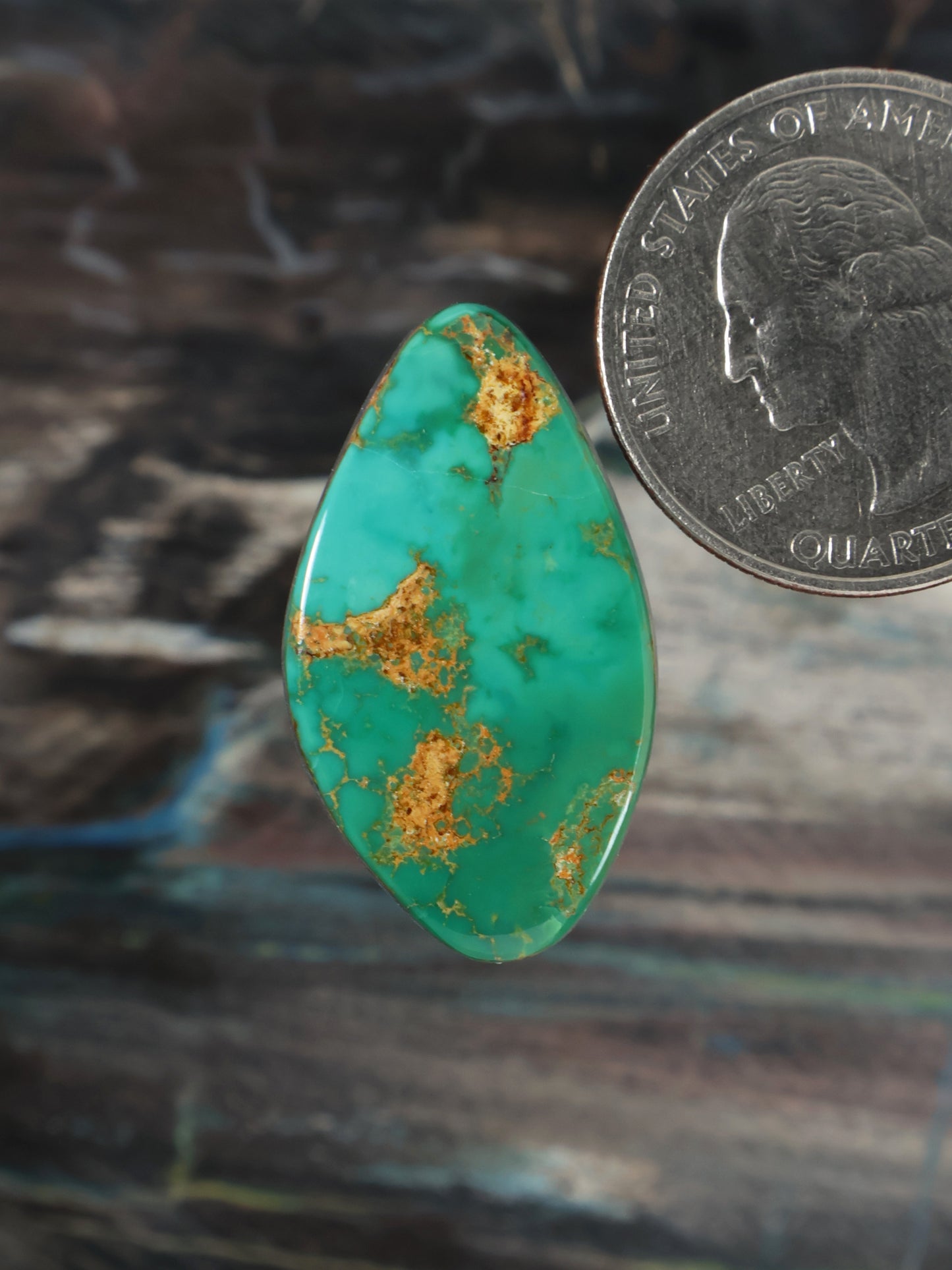 Royston Montezuma Turquoise Cabochon Q077