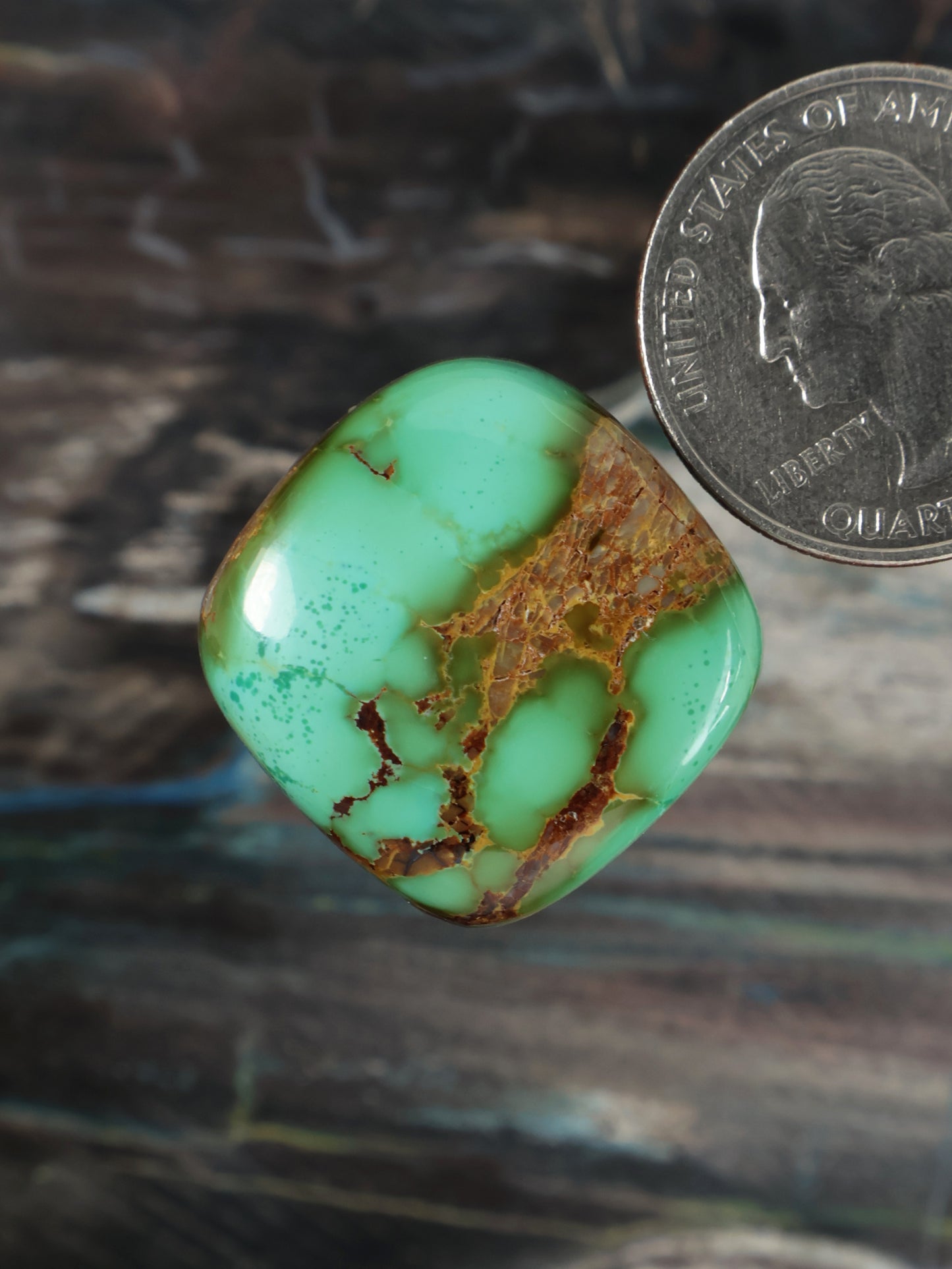 Royston Montezuma Turquoise Cabochon Q074