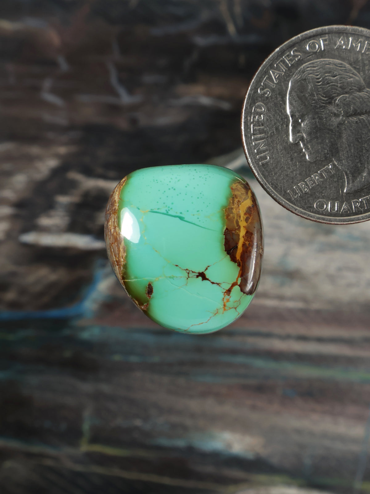 Royston Montezuma Turquoise Cabochon Q075