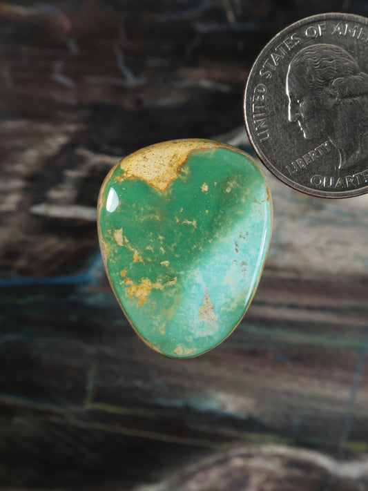 Royston turquoise cabochon oval stone with green color and gold matrix speckles