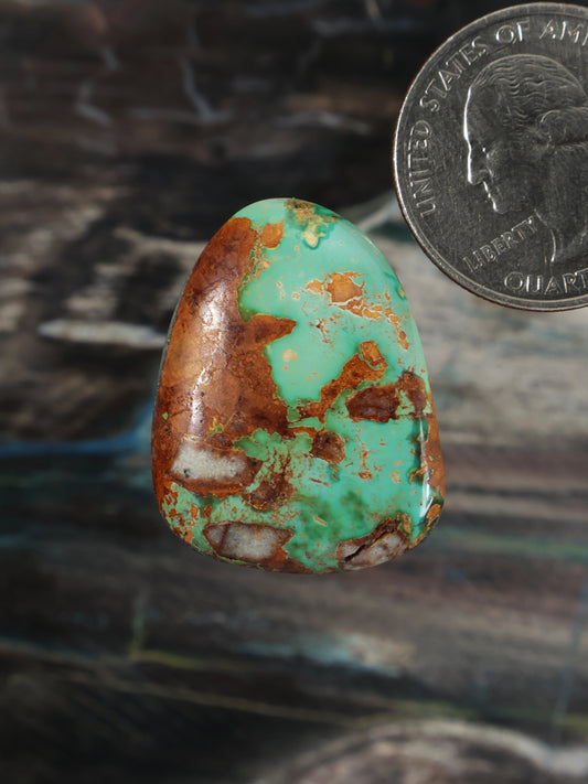 Turquoise cabochon with teal-green stone and brown matrix, oval polished gem.