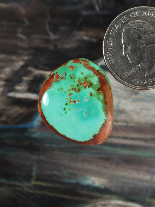 Turquoise oval cabochon gemstone with brown matrix edge, polished.