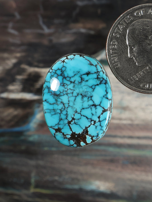 Turquoise cabochon gemstone in silver-tone bezel, oval with webbed matrix