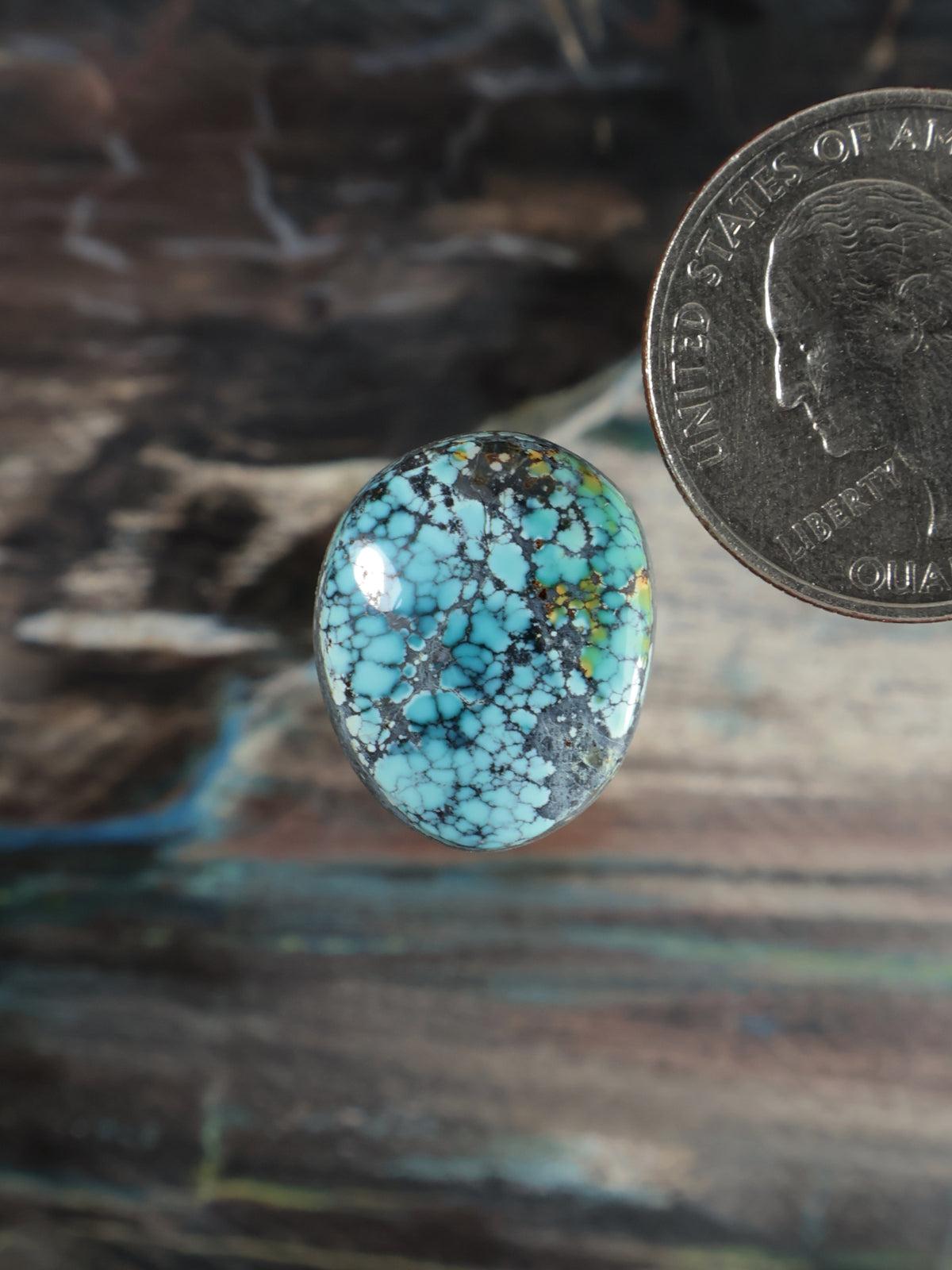 Turquoise cabochon gemstone oval with black webbed matrix pattern