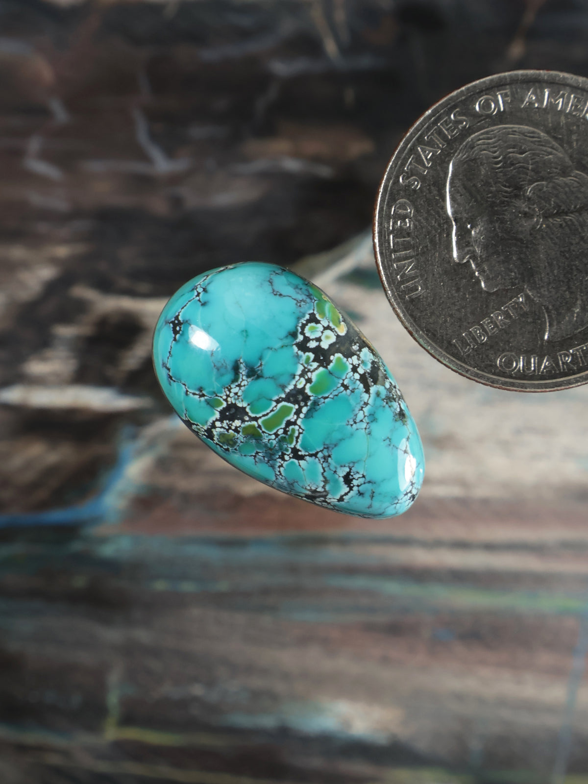 Turquoise cabochon oval gemstone, teal base with intricate dark veining, polished