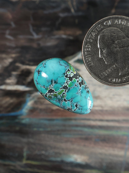 Turquoise cabochon oval gemstone, teal base with intricate dark veining, polished