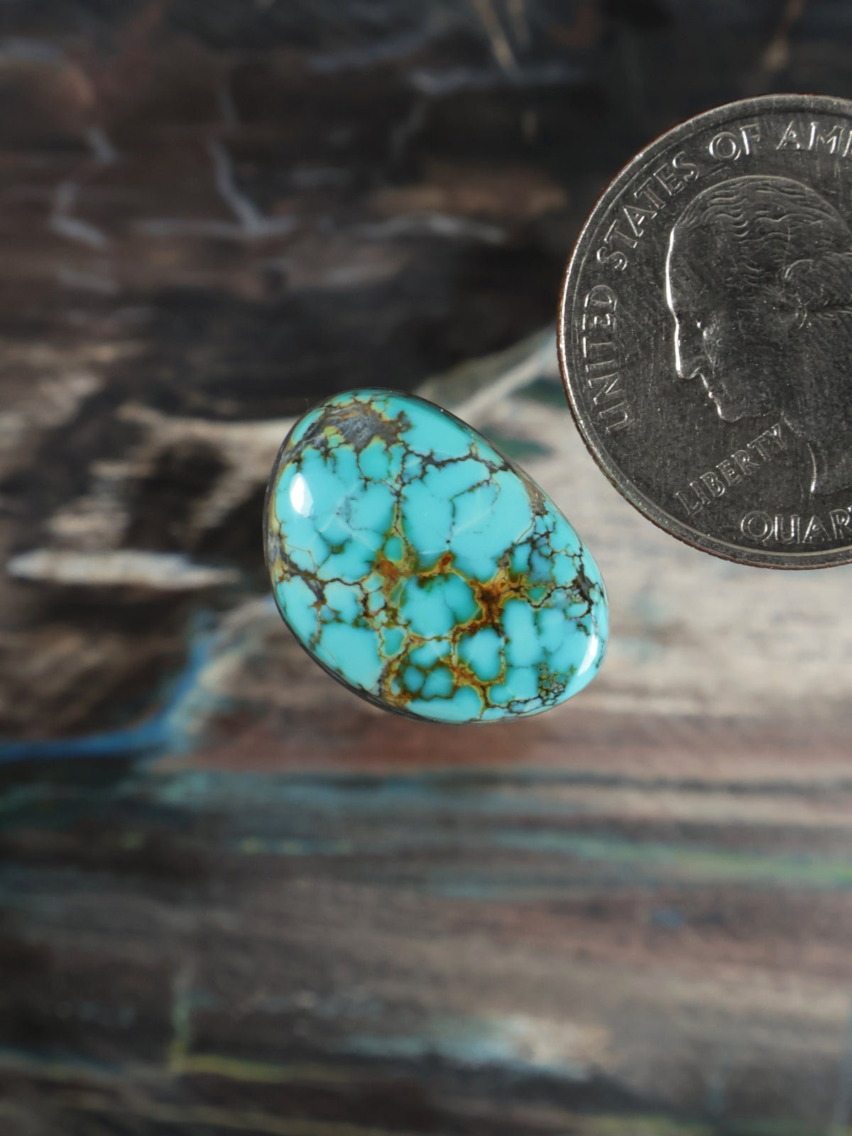 Turquoise oval cabochon gemstone with intricate golden matrix lines, polished