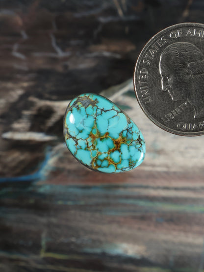 Turquoise oval cabochon gemstone with intricate golden matrix lines, polished