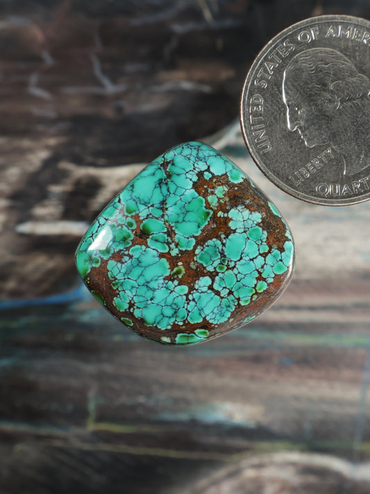 Skyhorse turquoise cabochon gemstone with teardrop shape and brown web matrix