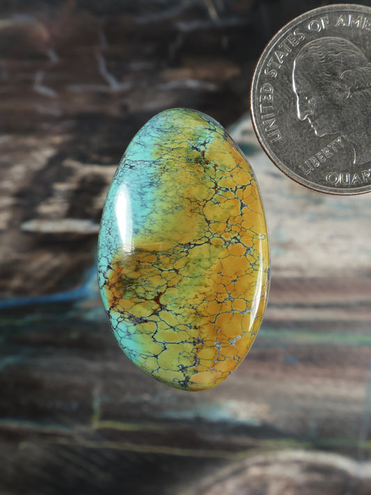Skyhorse turquoise cabochon gemstone, oval domed with yellow web pattern