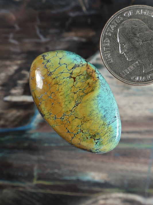 Skyhorse turquoise cabochon gemstone, tilted oval with yellow cracked matrix