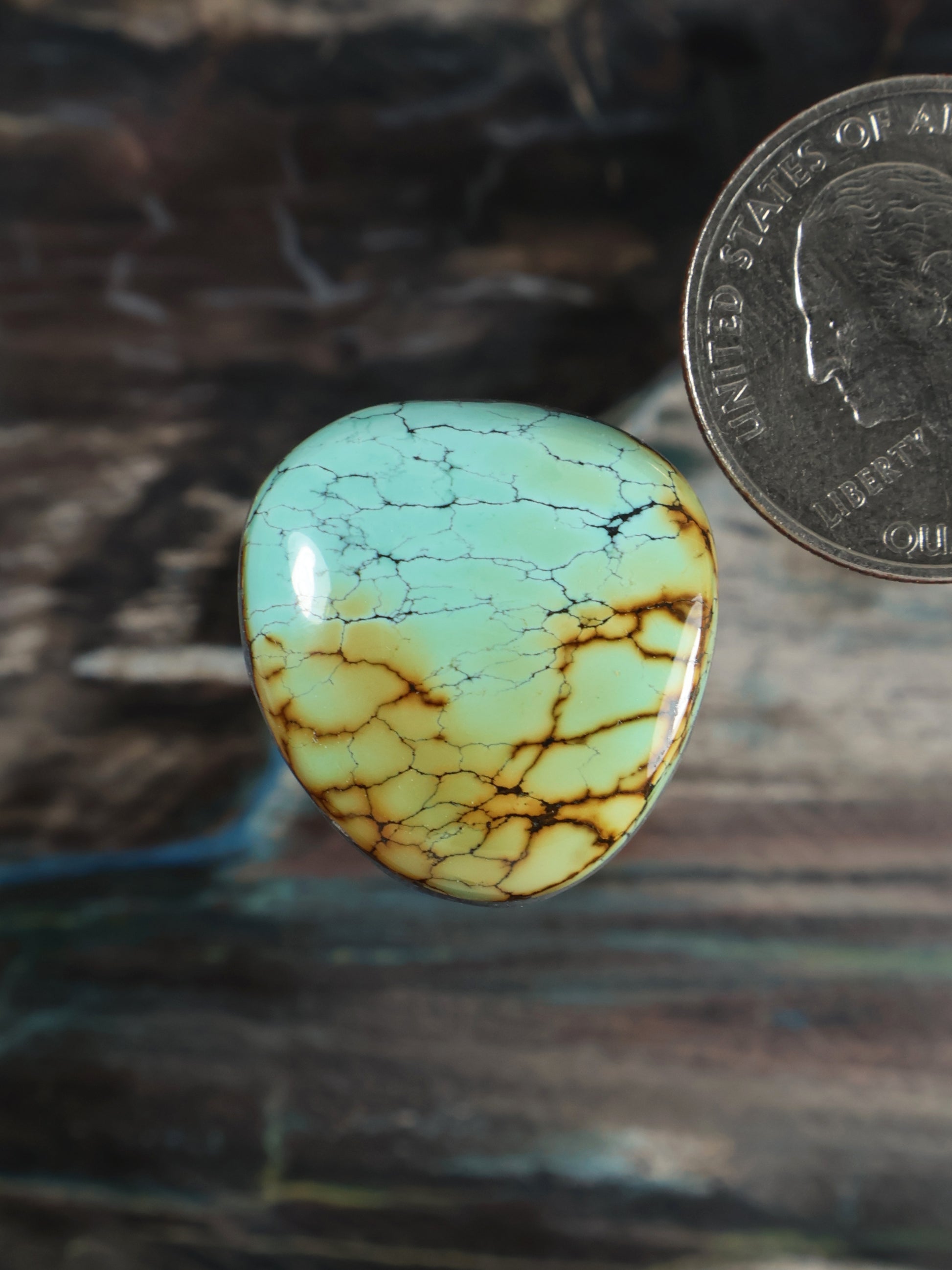 Skyhorse turquoise oval cabochon with webbed matrix veining