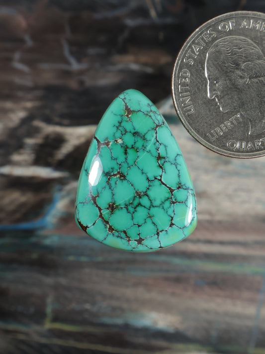 Turquoise teardrop cabochon with dark web matrix and polished shine