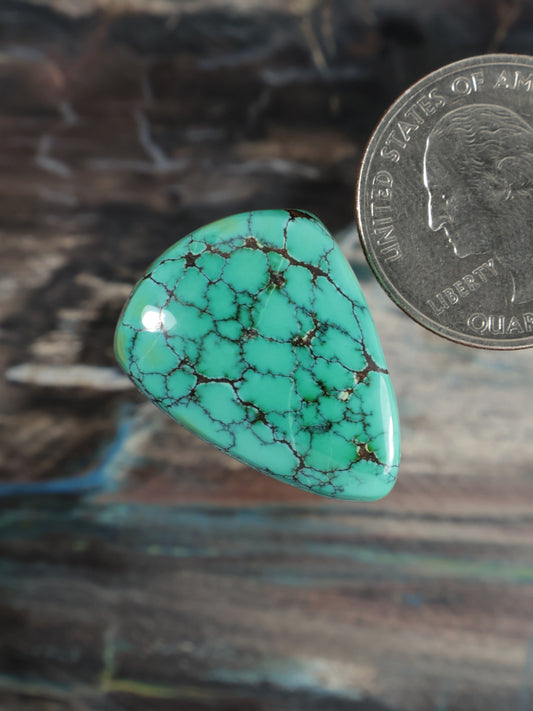 Turquoise oval cabochon with dark web matrix and polished dome