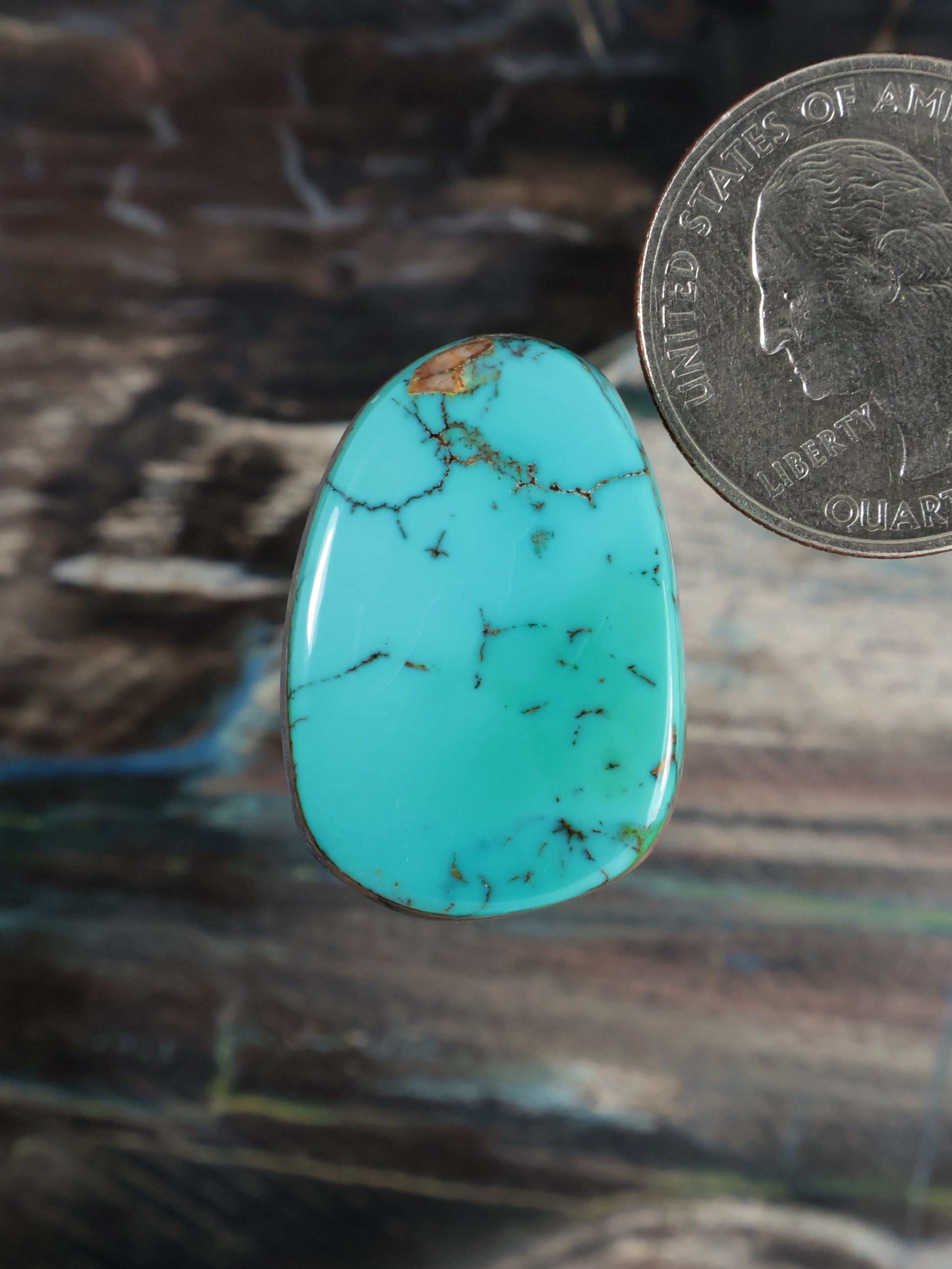 Turquoise oval cabochon gemstone with dark blue webbed veining